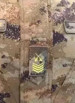 舟山大面外墙建议图案比例协调