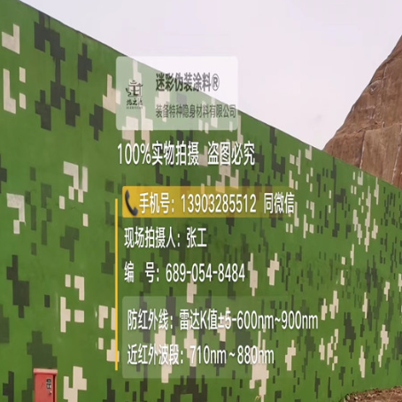 舟山专业承接园区围墙迷彩喷涂、